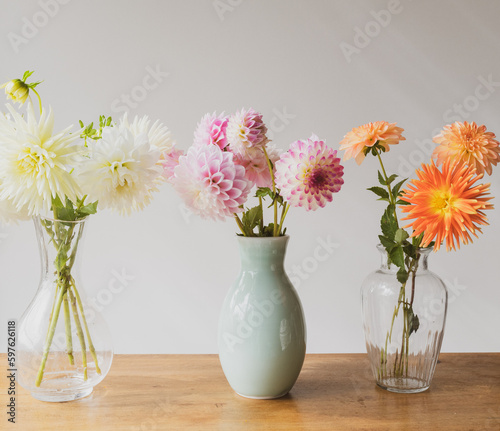 Three vases of colorful dahlia flowers on oak table against neutral backgground with vintage filter effect (selective focus)