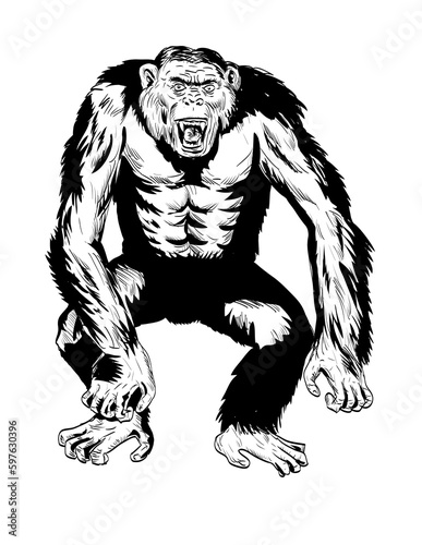 Comics style drawing or illustration of an angry aggressive chimpanzee in fighting stance viewed from front on isolated background in black and white retro style.