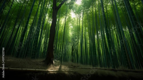 Whispers of Green  Arashiyama Bamboo Grove s Serenity