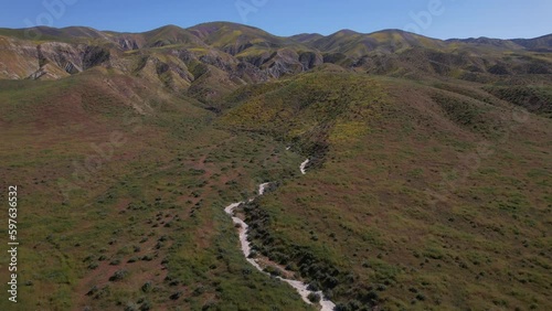 Aerial view ascending into the colorful wildflower superbloom at Carrizo Plain National Monument, California, USA. Part 2