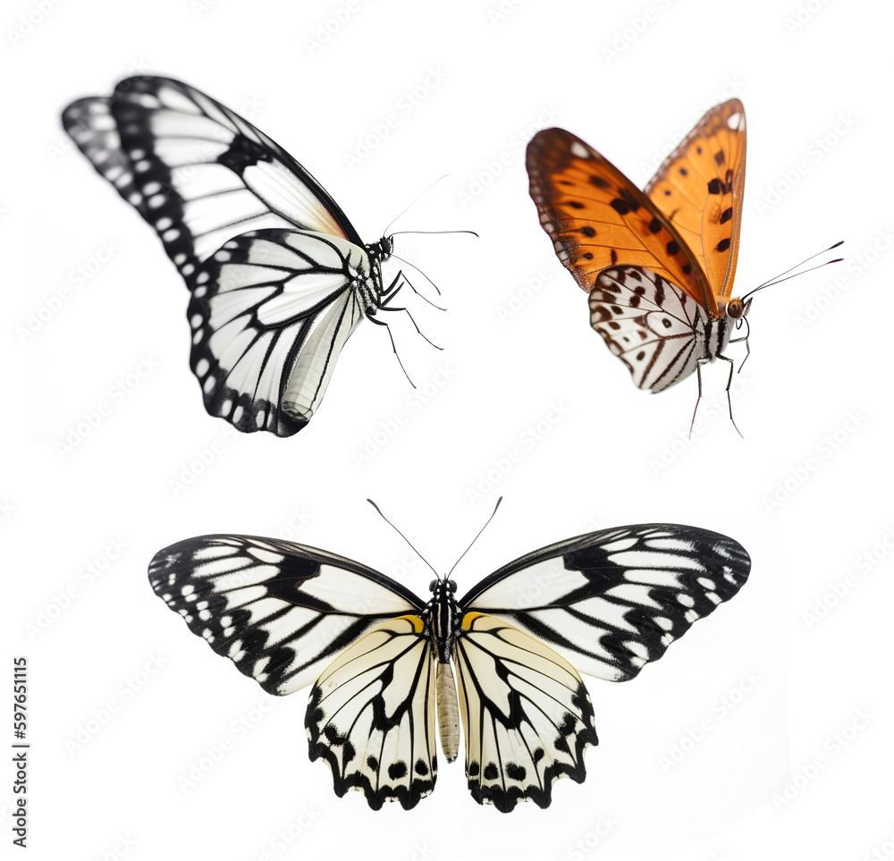Fototapeta premium Butterfly isolated on white background. Generative ai. 