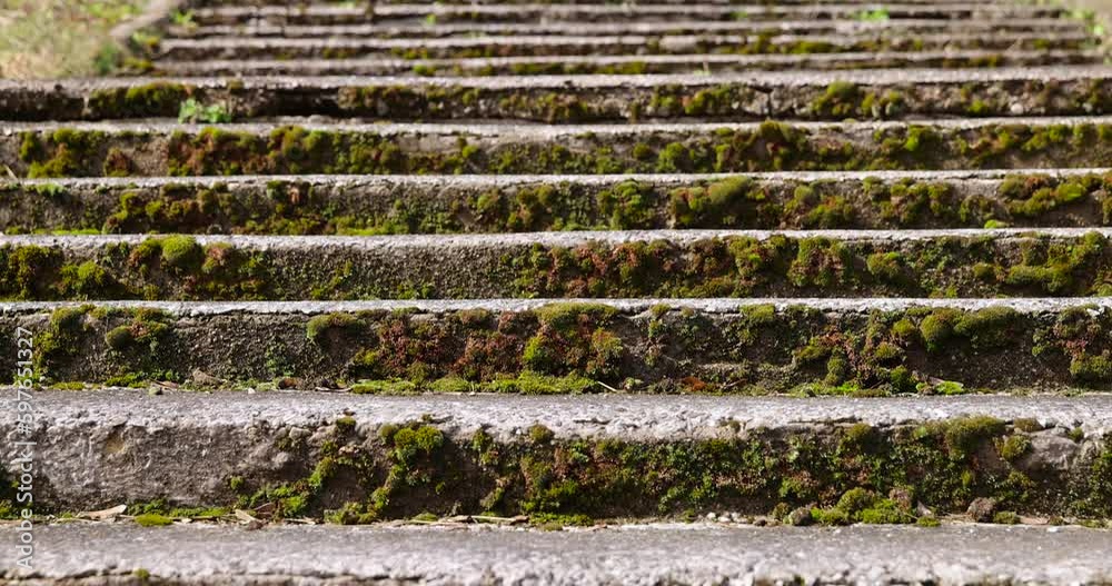 an old ruined concrete and stone staircase in the park, the details of the old staircase parts of which are damaged or destroyed an old ruined concrete and stone staircase in the park, the details of the old staircase parts of which are damaged or destroyed
