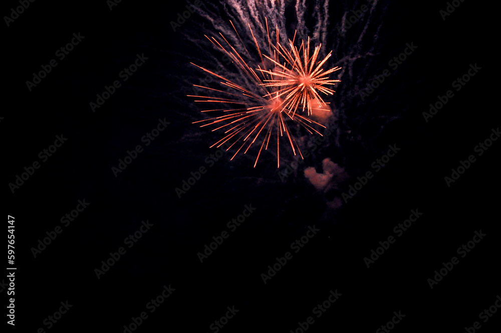 fireworks in the night sky fireworks in the night sky