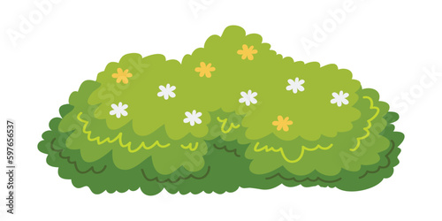Illustration of bush for decorate the garden beautifully. Ornamental plant shrub for decorate of a park  a garden or a green fence. Thick thickets of shrubs. Foliage for spring and summer card design.