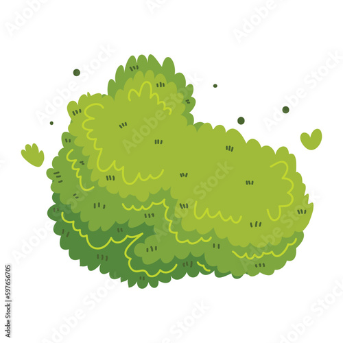Illustration of bush for decorate the garden beautifully. Ornamental plant shrub for decorate of a park, a garden or a green fence. Thick thickets of shrubs. Foliage for spring and summer card design.