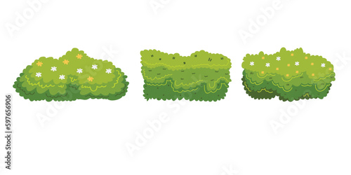 Illustration of bush for decorate the garden beautifully. Ornamental plant shrub for decorate of a park, a garden or a green fence. Thick thickets of shrubs. Foliage for spring and summer card design.