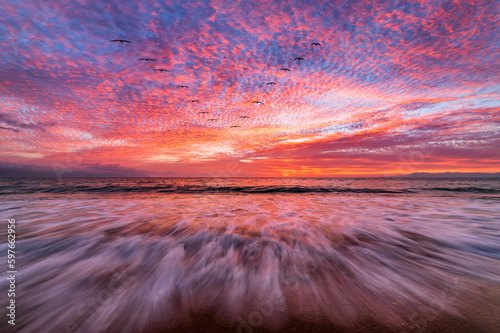 Sunset Ocean Beautiful Beach Landscape Birds