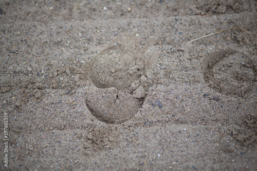 Horse hoof prints in sand