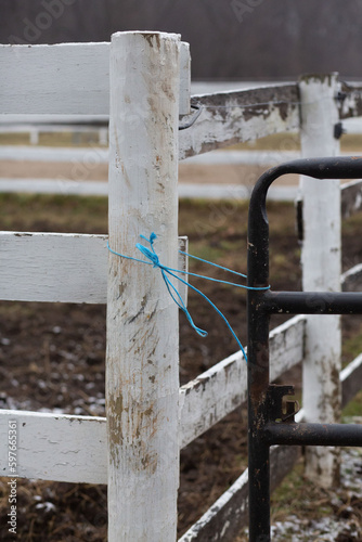 Horse gate tied with blue plastic twine