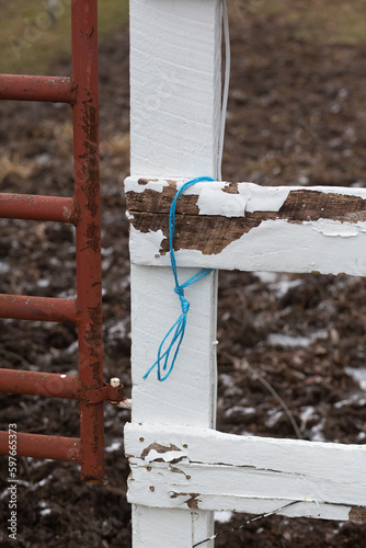 Small blue plastic twine next to chipped white fence and brown paddock door on horse enclosure