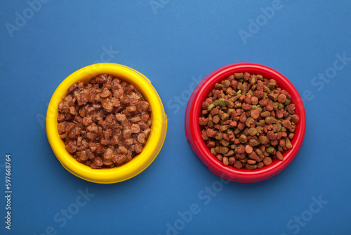 Wet and dry pet food in feeding bowls on blue background.