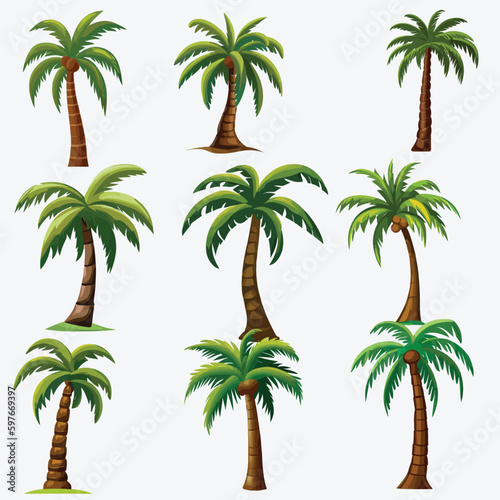 Multiple Variants of Vector Palm Trees  Isolated on a White Artboard