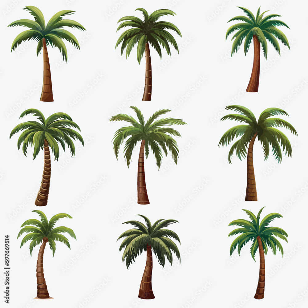 Collection of Vector Palm Trees in Various Variants, Isolated on a White Background