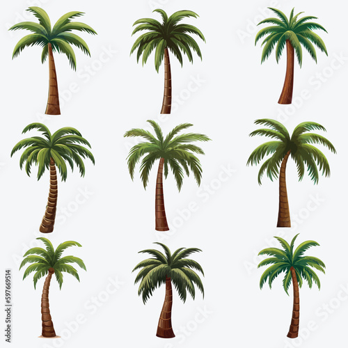 Collection of Vector Palm Trees in Various Variants  Isolated on a White Background