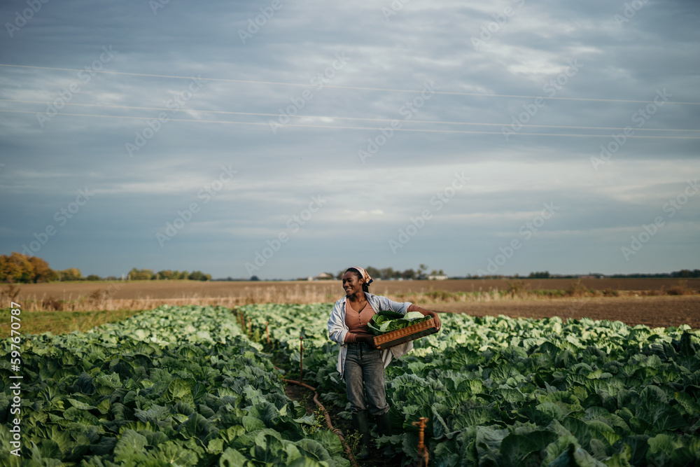 African American farm female worker harvesting raw veggies on the farm. Copy space African American farm female worker harvesting raw veggies on the farm. Copy space