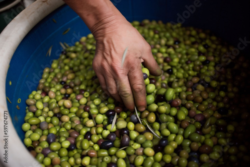 leaf oil food tree healthy nature green ripe harvest olive. Generative AI.