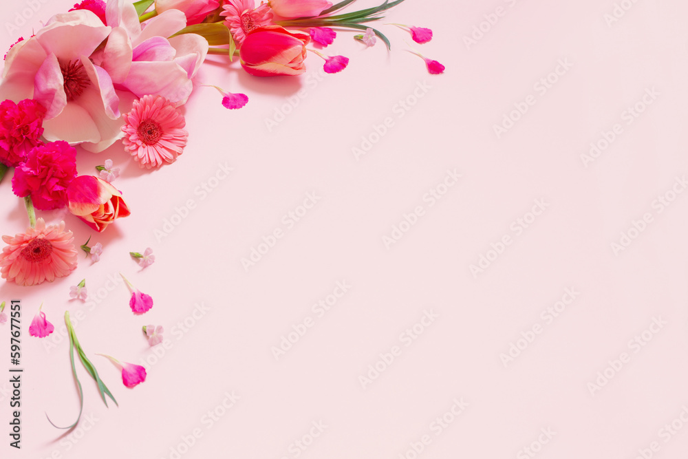 beautiful spring flowers on pink background beautiful spring flowers on pink background