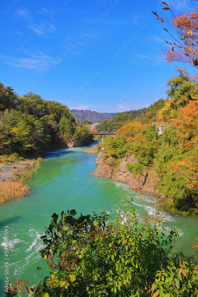 Obraz premium 1 Nov 2013 Sho river, main river at Shirakawa village in summer.