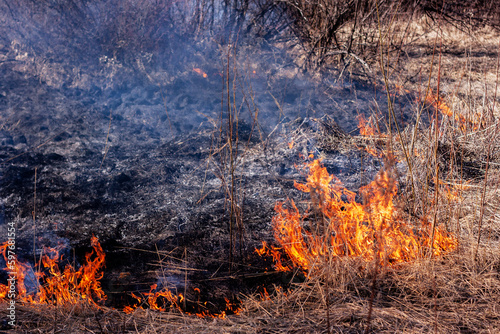 Burning grass