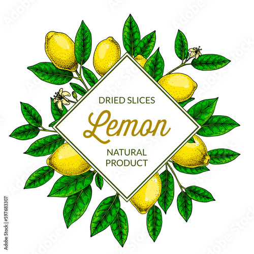 Square lemon frame. Hand drawn colorful vector illustration in sketch stile. Design for packaging, logo, invitation, greeting cards