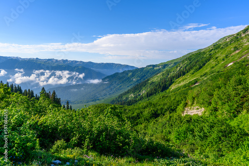 The beautiful landscape in the tropical mountains. The alpine mountains and meadows. © Evgeniy