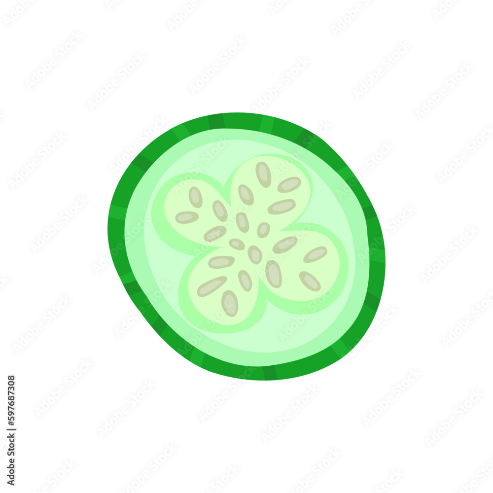 slice of cucumber, cross section with seeds. Vector Illustration for printing, backgrounds and packaging. Image can be used for greeting cards, posters and stickers. Isolated on white background. slice of cucumber, cross section with seeds. Vector Illustration for printing, backgrounds and packaging. Image can be used for greeting cards, posters and stickers. Isolated on white background.