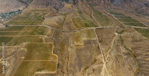 Sudak, Crimea. Vineyards near the village of Solnechnaya Dolina. Autumn. Aerial view photo