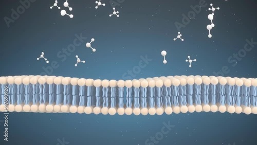 Membrane Cell and Molecules, 3d rendering photo