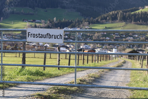 Frostaufbruch Traktorweg 1 photo