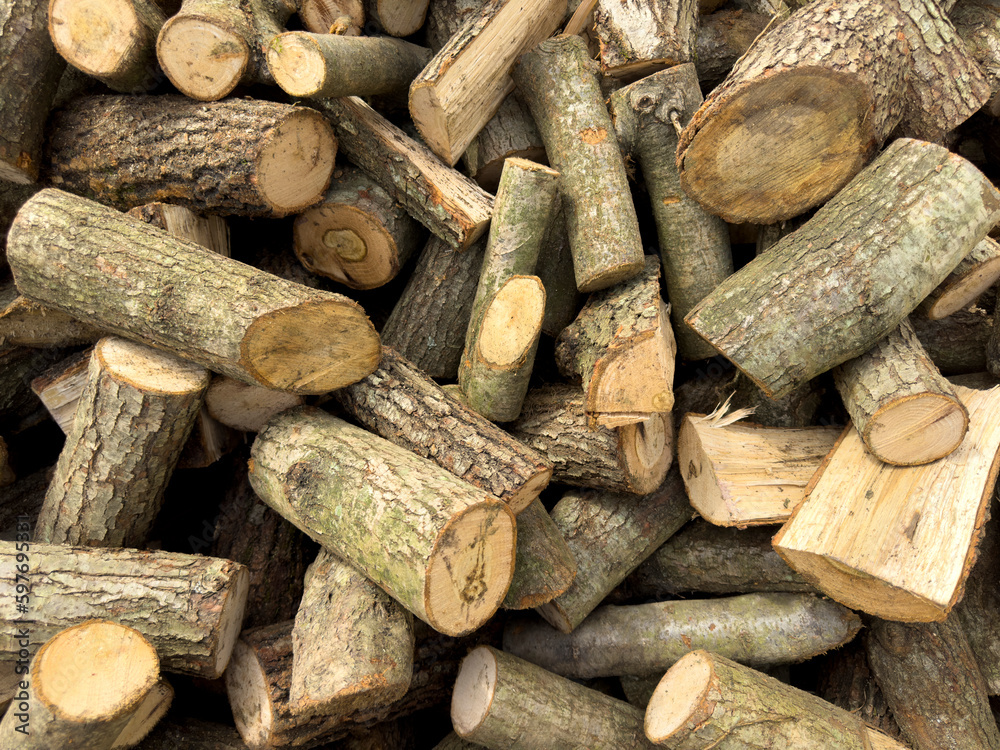 Cut pieces of wood. A large pile of firewood. Trees has been cut and split into firewood to be used as fuel for heating in fireplaces and furnaces in the. Close up Cut pieces of wood. A large pile of firewood. Trees has been cut and split into firewood to be used as fuel for heating in fireplaces and furnaces in the. Close up