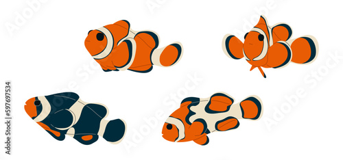 Anemonefish 3 cute on white background, vector illustration. 