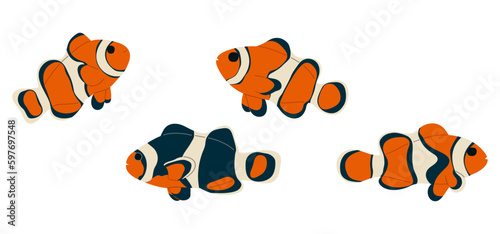 Anemonefish 2 cute on white background, vector illustration. 
