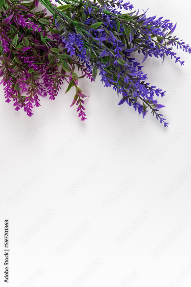 lavender flowers isolated on white, background for presentations, invitations, promotions, banners lavender flowers isolated on white, background for presentations, invitations, promotions, banners