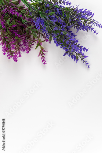 lavender flowers isolated on white, background for presentations, invitations, promotions, banners