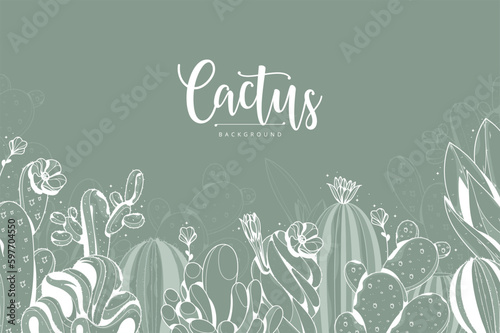 hand drawn outline cactus plant illustration background
