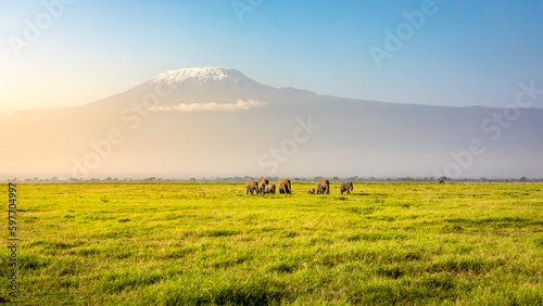 Mount Kilimanjaro with a herd of elephants walking across the foreground. Amboseli national park, Kenya.