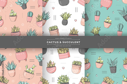 cactus and succulent pattern design collection