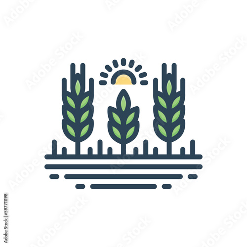 Color illustration icon for harvest 