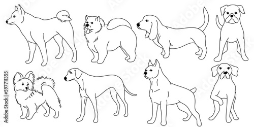 Dogs collection, Vector illustration of funny cartoon different breeds dogs in trendy flat style. Isolated on white.