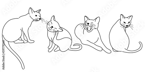 doodle Cat poses. Cartoon red fat striped cats emotions and behavior. Animal pet kitten playful, sleeping and scared. Cat body language vector set. Illustration pet cat, cute striped animal kitten photo