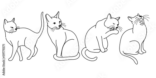 doodle Cat poses. Cartoon red fat striped cats emotions and behavior. Animal pet kitten playful, sleeping and scared. Cat body language vector set. Illustration pet cat, cute striped animal kitten