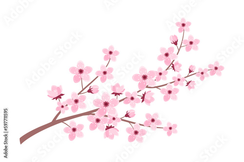 Pink cherry blossom branch isolated on white background. Vector illustration of sakura branch in flat style
