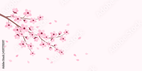 Pink cherry blossom branch with falling petals on a soft pink background, copy space. Vector illustration in flat style © Alrika 