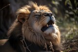 Content Lion Relaxing in Shade on a Summer Day, Generative AI