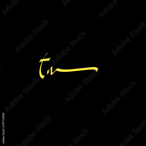 tm Initial Handwriting Signature Logo Vector