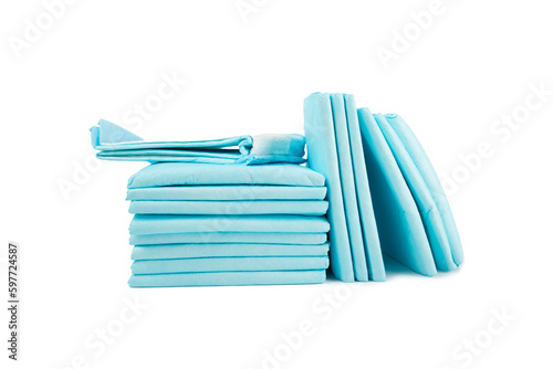 dog diaper, pet absorbent napkin isolated