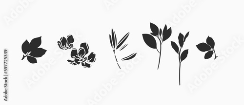 Hand drawn vector abstract graphic illustrations silhouette collection set with bohemian magic black art of natural flowers and plants,leaves,wreath,herb,botanical floral garden plants silhouette.