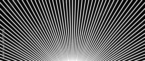 Vector line pattern resembling the rays of the rising sun. Black and white abstract texture  stylish background composition  monochrome design for fashion  print and textile. EPS 8.