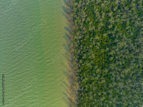 green background
