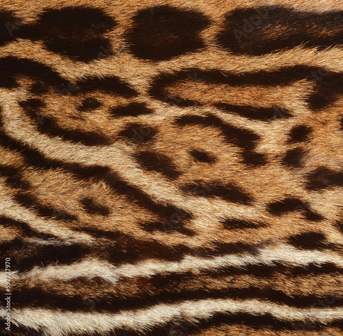 leopard fur texture
